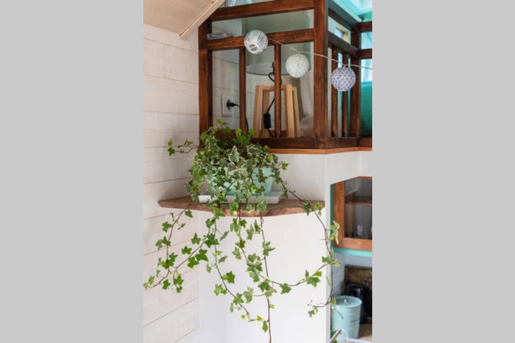 Villa Tiny House En Baie Du Mont-Saint-Michel Dol-de-Bretagne Exterior foto